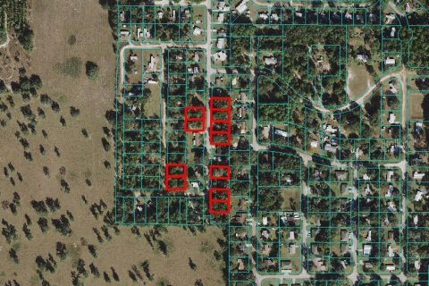 Land in Ocala, Florida № 2161829 - photo 2
