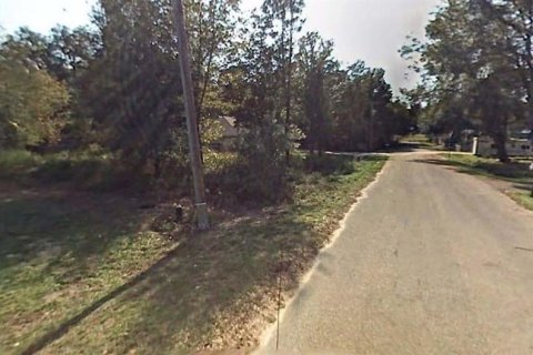 Land in Ocala, Florida № 2161829 - photo 7