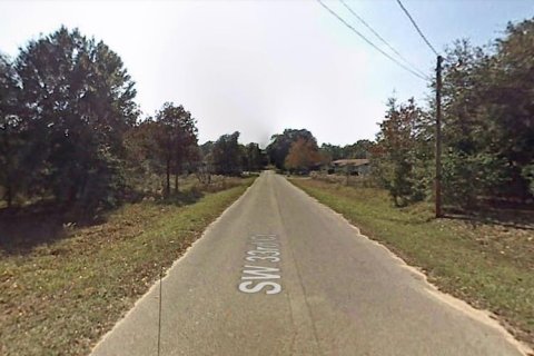 Land in Ocala, Florida № 2161829 - photo 8