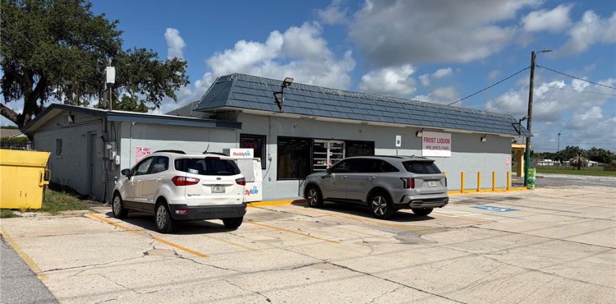 Immobilier commercial à Frostproof, Floride 962.28 m2 № 2215185