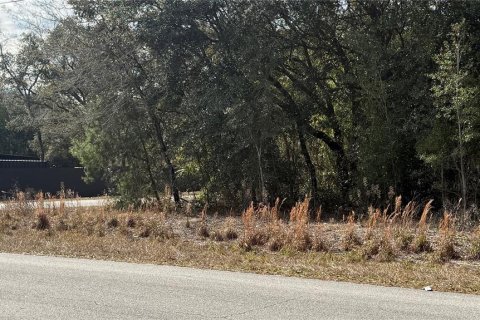 Land in Dunnellon, Florida № 2161853 - photo 4
