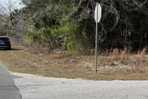 Land in Dunnellon, Florida № 2161853 - photo 3