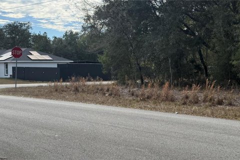 Land in Dunnellon, Florida № 2161853 - photo 5
