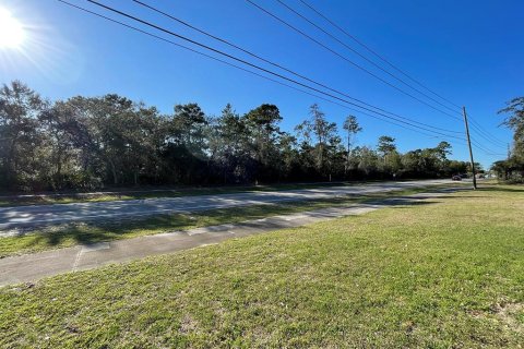 Land in Deltona, Florida № 1769158 - photo 2