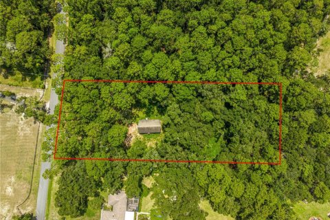 House in Ocala, Florida 3 bedrooms, 126.63 sq.m. № 1910250 - photo 20