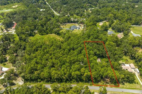 House in Ocala, Florida 3 bedrooms, 126.63 sq.m. № 1910250 - photo 25