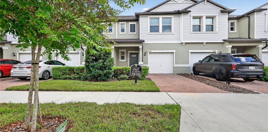 Adosado en CONNERTON
en Land O' Lakes, Florida 3 dormitorios, 148.74 m2 № 1915779