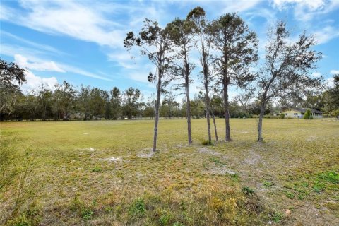 Land in Thonotosassa, Florida № 1544659 - photo 5