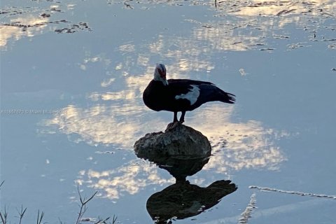 Condo in Coconut Creek, Florida, 2 bedrooms № 2060126 - photo 7