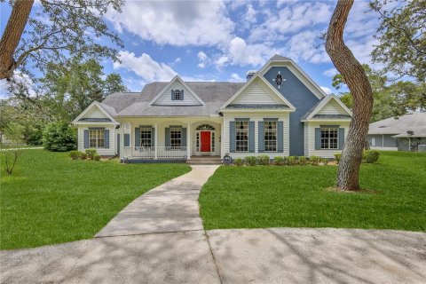 Villa ou maison à vendre à Spring Hill, Floride: 3 chambres, 288.74 m2 № 1815501 - photo 1
