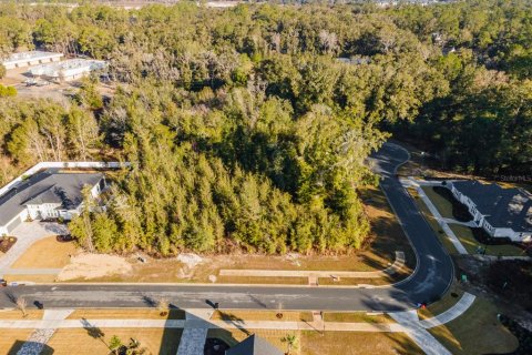 Land in Newberry, Florida № 1534497 - photo 5