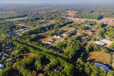 Land in Newberry, Florida № 1534497 - photo 10