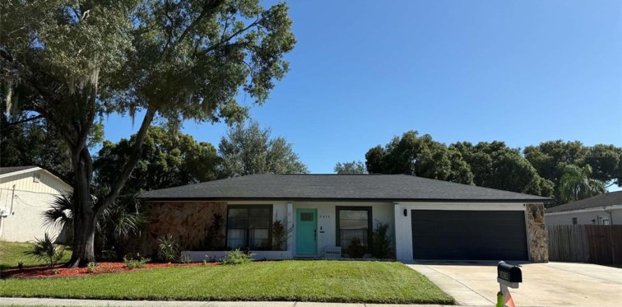House in Valrico, Florida 4 bedrooms, 180.79 sq.m. № 2430960