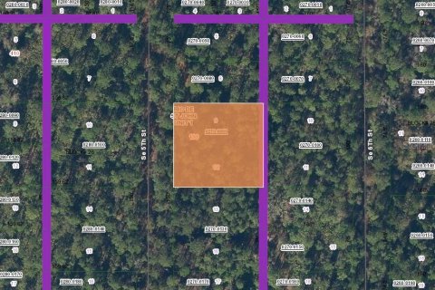 Land in Palatka, Florida № 2160318 - photo 2