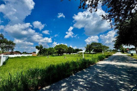 Land in Miami, Florida № 1951863 - photo 4