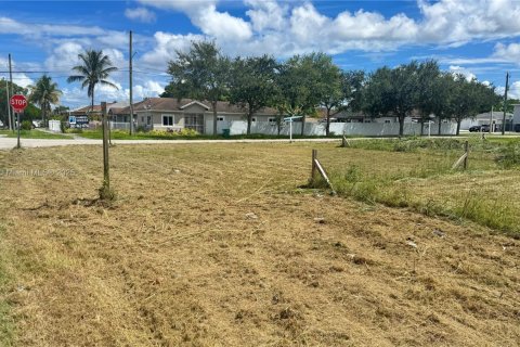 Land in Miami, Florida № 1951863 - photo 2