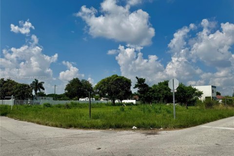 Land in Miami, Florida № 1951863 - photo 3