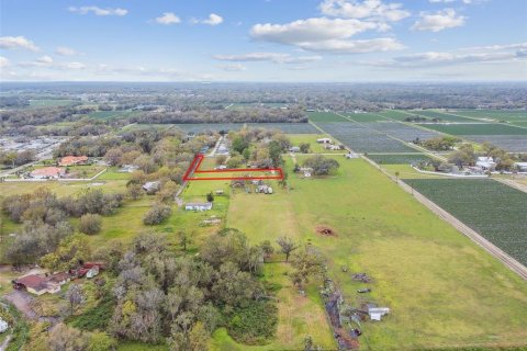 Land in Plant City, Florida № 1563462 - photo 2