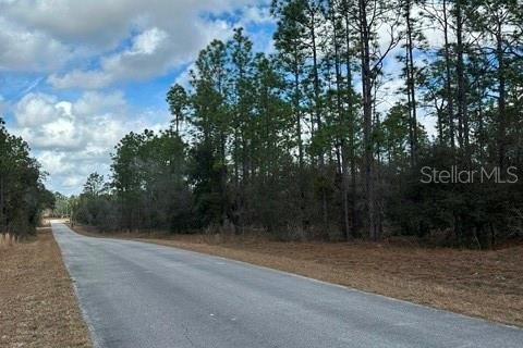 Land in Dunnellon, Florida № 2161838 - photo 5