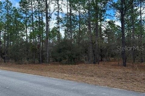 Land in Dunnellon, Florida № 2161838 - photo 4