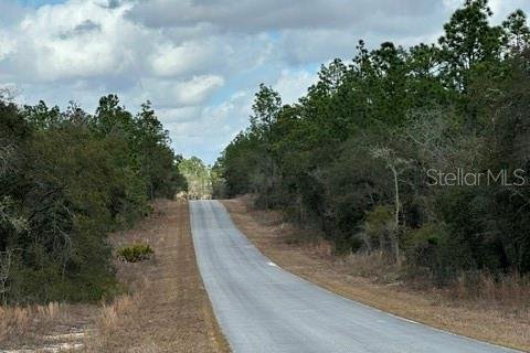 Land in Dunnellon, Florida № 2161838 - photo 3