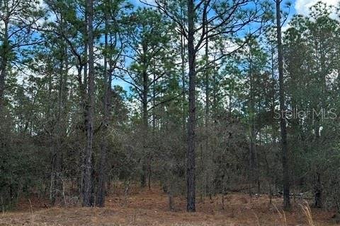 Land in Dunnellon, Florida № 2161838 - photo 6