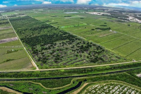 Купить коммерческую недвижимость в Лабель, Флорида № 1935079 - фото 12