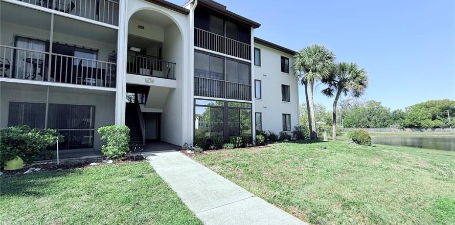 Condo à Palm Harbor, Floride, 2 chambres № 1575168