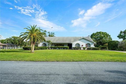 House in New Port Richey, Florida 3 bedrooms, 229.93 sq.m. № 1798366 - photo 5