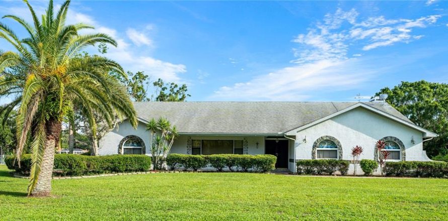 House in New Port Richey, Florida 3 bedrooms, 229.93 sq.m. № 1798366