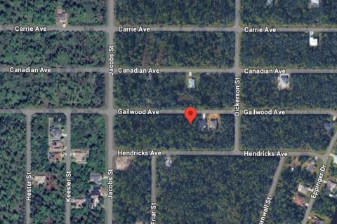 Land in Port Charlotte, Florida № 2166202 - photo 2
