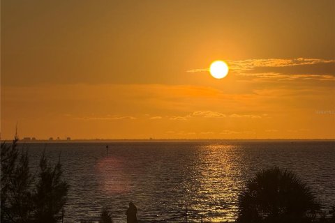 Condo in Ruskin, Florida, 3 rooms  № 2133388 - photo 15