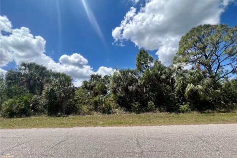 Land in Port Charlotte, Florida № 2164974