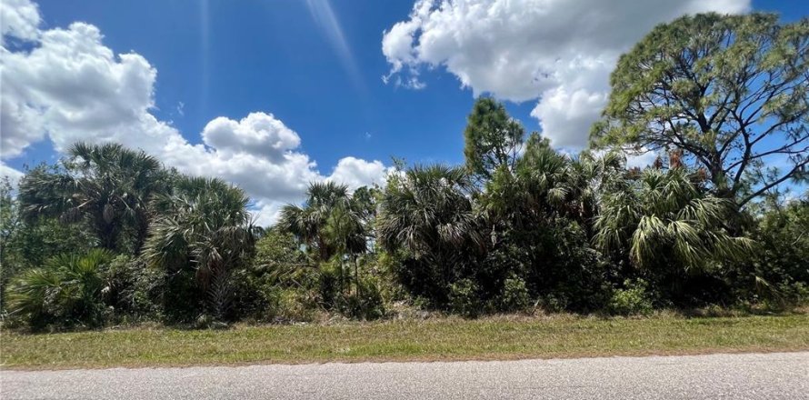 Land in Port Charlotte, Florida № 2164974
