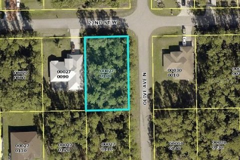 Land in Lehigh Acres, Florida № 2162803