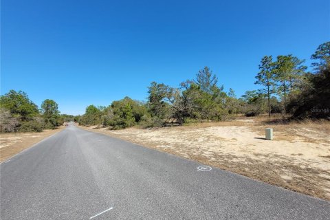 Land in Dunnellon, Florida № 2160691 - photo 4