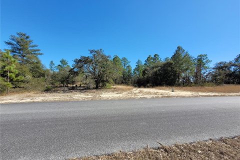 Land in Dunnellon, Florida № 2160691 - photo 6
