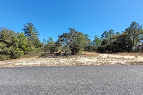 Land in Dunnellon, Florida № 2160691 - photo 3