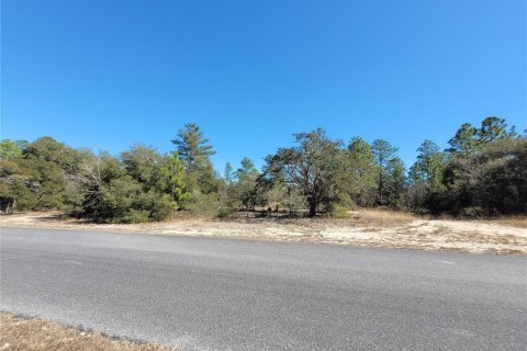 Land in Dunnellon, Florida № 2160691 - photo 7