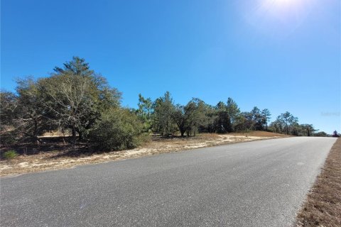Land in Dunnellon, Florida № 2160691 - photo 5