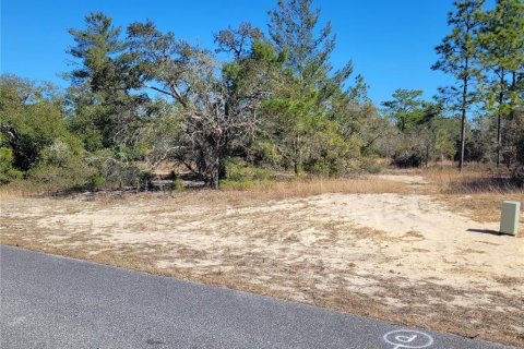 Land in Dunnellon, Florida № 2160691 - photo 2