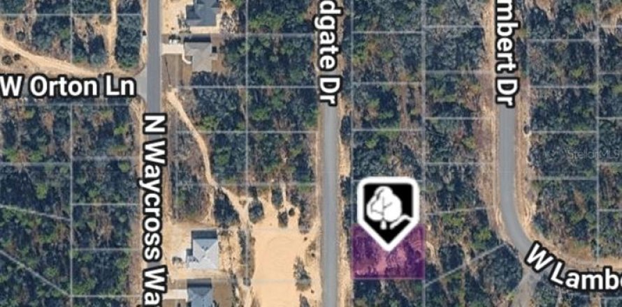 Land in Dunnellon, Florida № 2160691