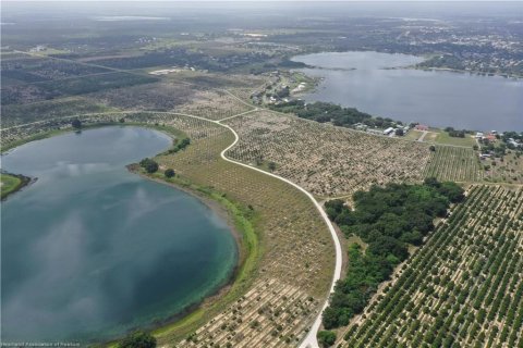 Land in Avon Park, Florida № 1816205 - photo 8