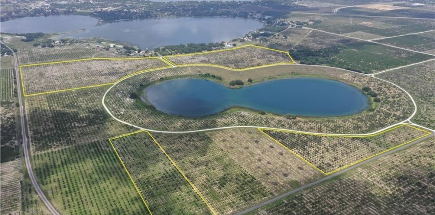 Land in Avon Park, Florida № 1816205