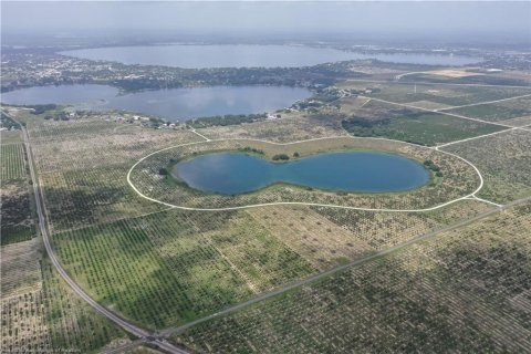 Land in Avon Park, Florida № 1816205 - photo 7