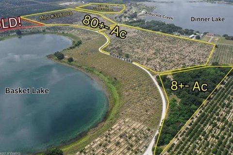 Land in Avon Park, Florida № 1816205 - photo 3