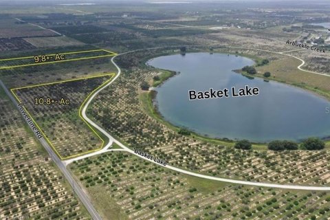 Land in Avon Park, Florida № 1816205 - photo 4