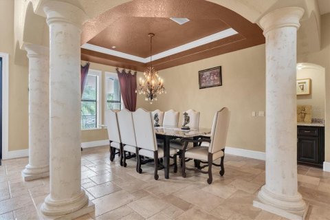 Villa ou maison à vendre à Tarpon Springs, Floride: 4 chambres, 540.23 m2 № 2103673 - photo 14