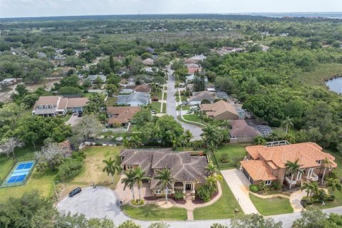 Villa ou maison à vendre à Tarpon Springs, Floride: 4 chambres, 540.23 m2 № 2103673 - photo 2