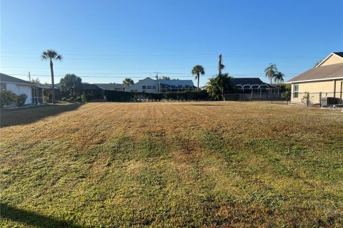 Land in Punta Gorda, Florida № 2162631 - photo 3